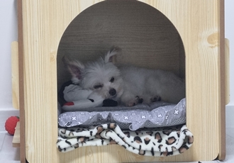 짜니소식입니다.