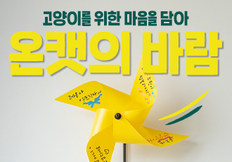 [신청마감] 고양이를 위한 마음을 담아 '온캣의 바람'