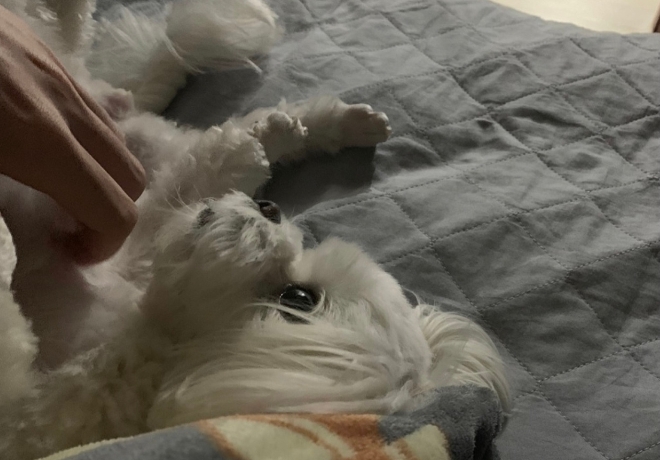 커맨더맨 병훈 팬분의 후원