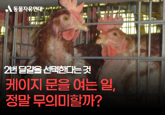 [케이지프리] 케이지 문을 여는 일, 정말 무의미할까?