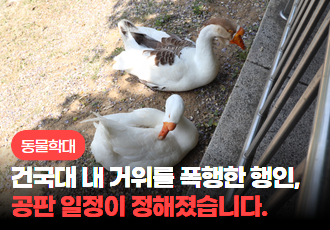 [동물 학대] 건국대학교 내 거위를 폭행한 행인, 공판 일정이 정해졌습니다.