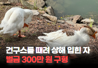 [동물 학대] 건구스를 때려 상해 입힌 자, 벌금 300만 원 구형