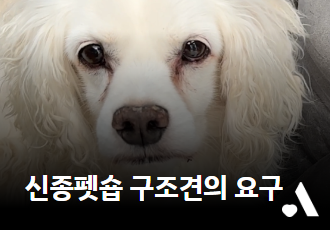 [서명요청]16마리 신종펫숍 구조견의 요구