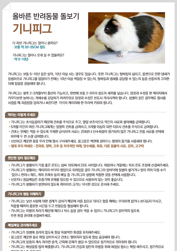 소동물을 키우기 전 기본적으로 알아야 할 사항-기니피그 