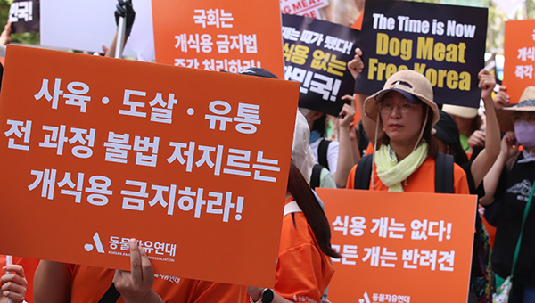 동물자유연대는