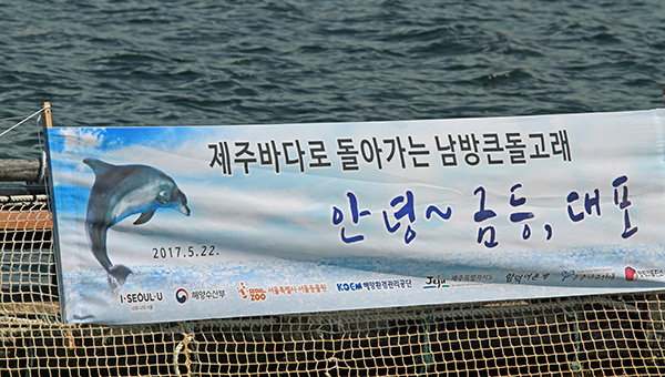 동물자유연대는