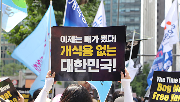 동물자유연대는