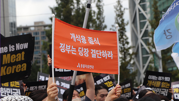 동물자유연대는