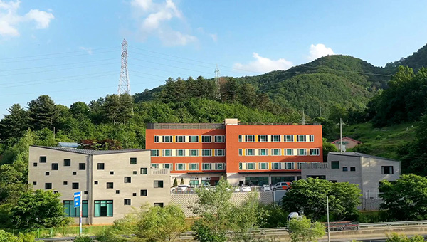 동물자유연대는